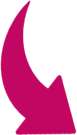 Alternate Text